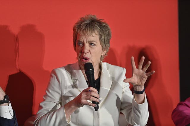 Ivana Bacik TD during the SDLP Annual conference at Crowne Plaza Hotel, Belfast (Mark Marlow/PA)