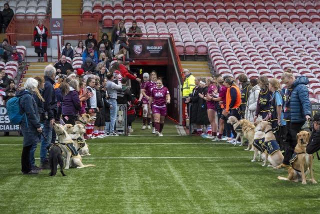 Guide Dogs puppies line up to form a guard of honour for players during the Gloucester Hartpury v Sale Sharks Premiership Women’s Rugby match at Kingsholm Stadium in Gloucester (Ben Birchall/PA Media Assignments)