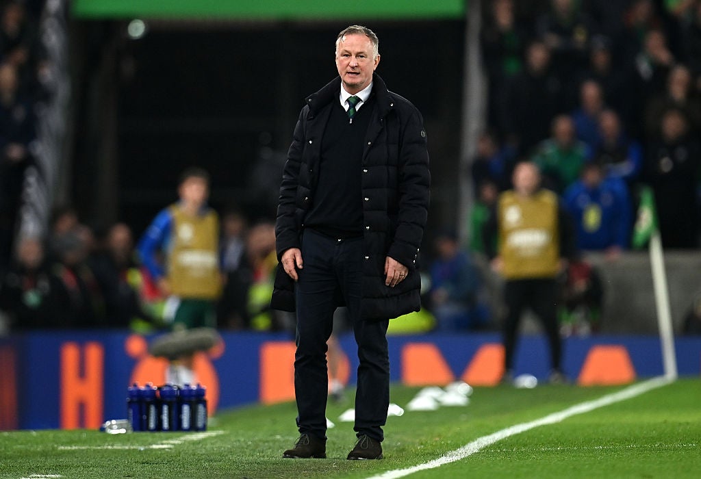 <p>Michael O'Neill hopes to lead Northern Ireland to their first World Cup since 1986 next year</p>