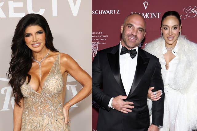 <p>Real Housewives of New Jersey star Teresa Giudice and her brother Joe Gorga have recently mended their relationship after a yearslong feud </p>