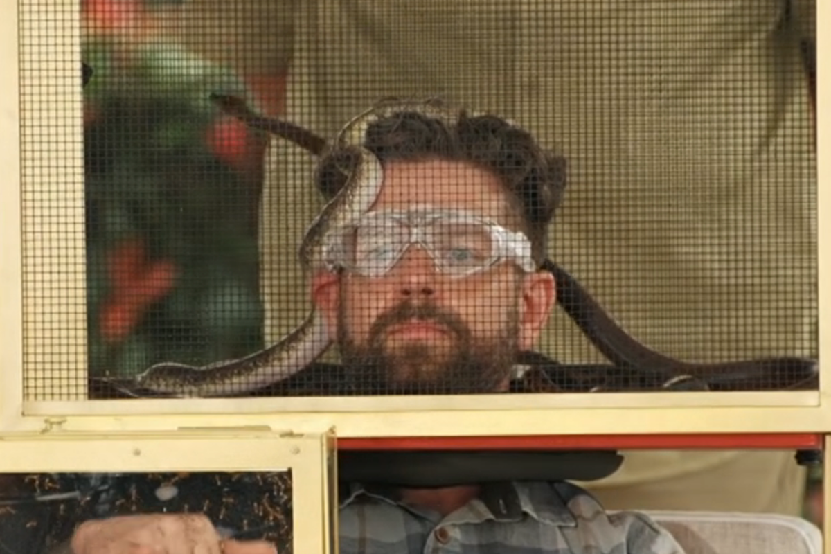 I’m a Celeb salary ‘leak’ reveals how much the stars are getting paid I’m a Celeb salary ‘leak’ reveals how much the stars are getting paid