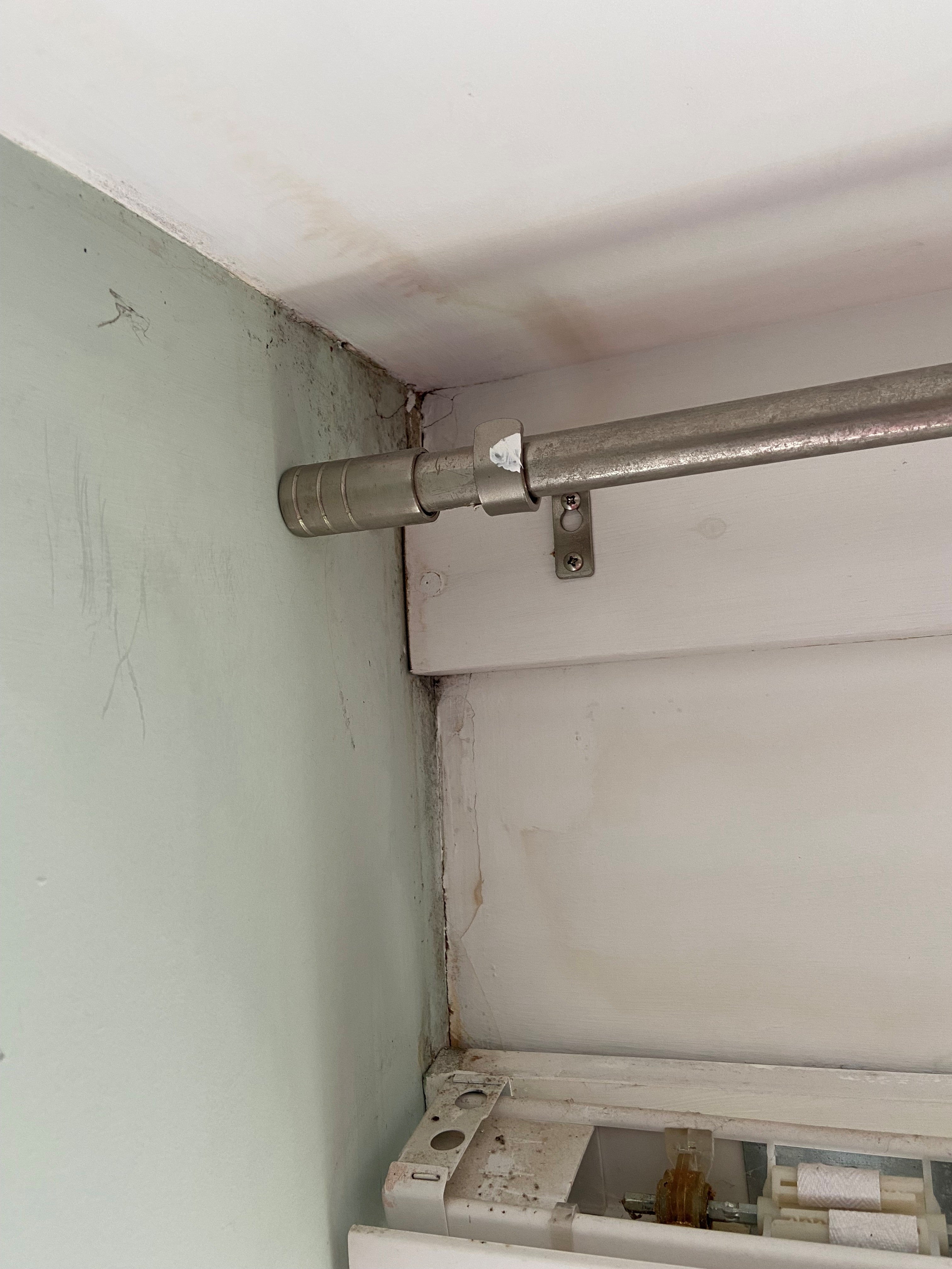 Lisa moved into a property near Sutton, South London, with her partner Richard and daughter Phoebe in 2015 and almost immediately noticed a “musty smell” caused by damp