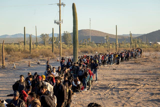 <p>Immigrants line up at a remote U.S. Border Patrol processing center after crossing the U.S.-Mexico border on December 07, 2023 in Lukeville, Arizona</p>