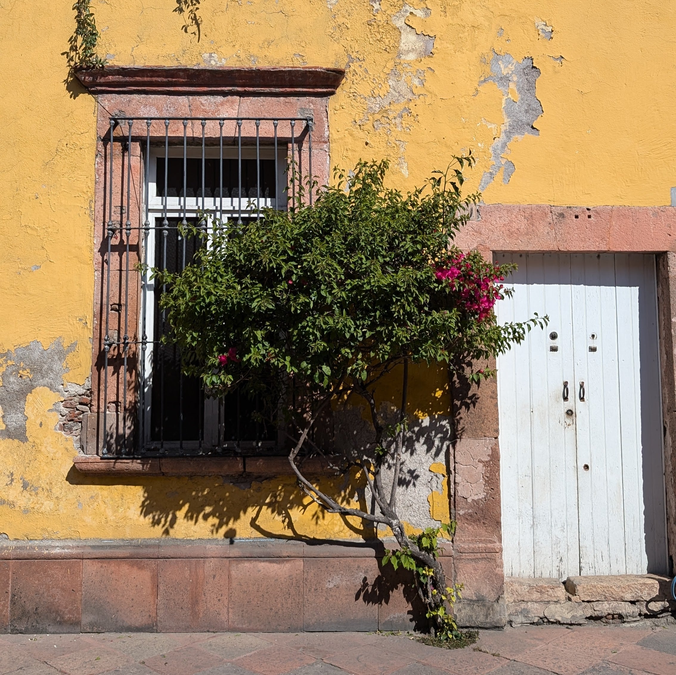Querétaro is a postcard-perfect patchwork of buildings