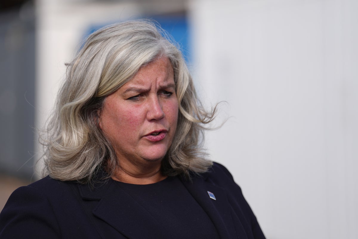 Transport Secretary details further ‘work required’ on Ukraine peace deal