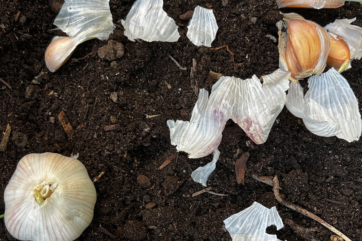 Doing these fall garden chores will make your spring easier