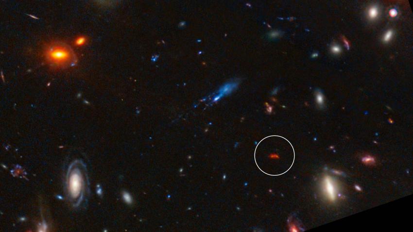 <p>The galaxy Y1 (circled) glowing red in an image captured by the James Webb Space Telescope</p>