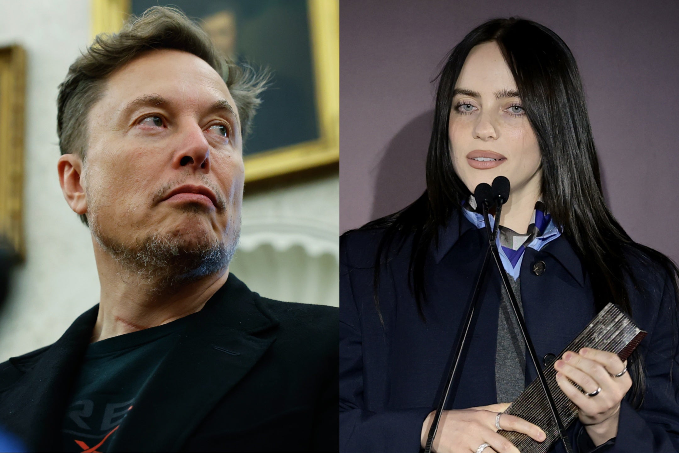 Elon Musk lashed out at Billie Eilish after she called him out for hoarding his wealth