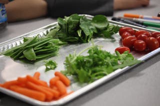 Study reveals new benefit of switching to plant-based diet – The Independent