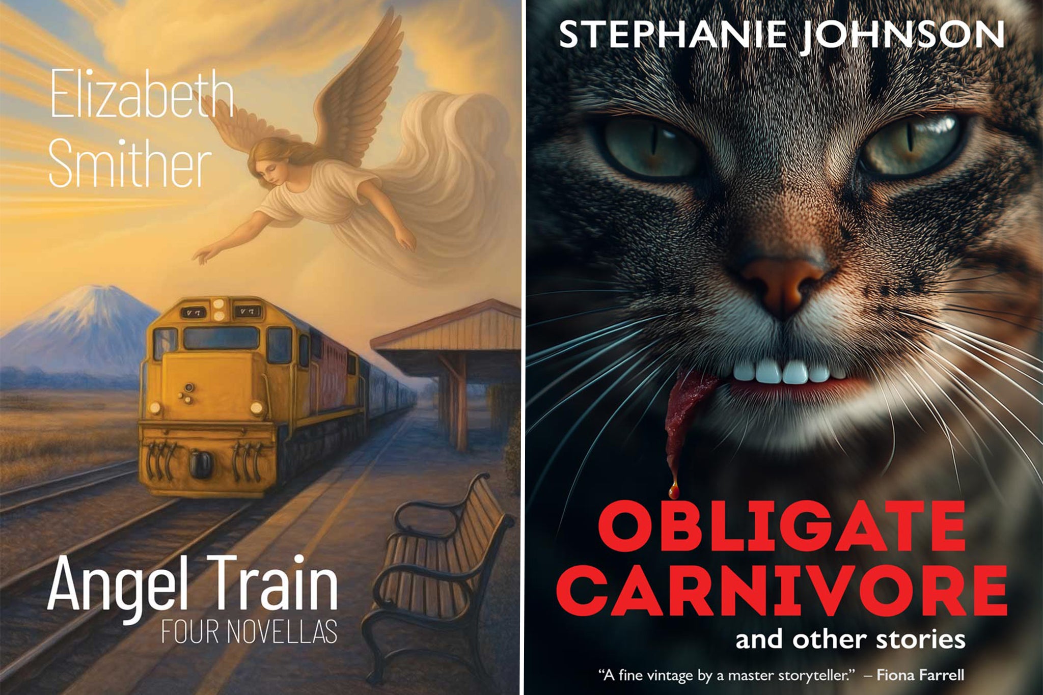 <p>Stephanie Johnson’s <em>Obligate Carnivore </em>and Elizabeth Smither’s <em>Angel Train </em>are no longer<em> </em>in the running for the Jann Medlicott Acorn Prize for Fiction</p>