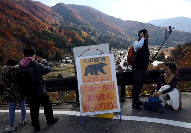 <p>Tourists take photos near a bear warning sign at Shirakawa village, Gifu prefecture, Japan</p>