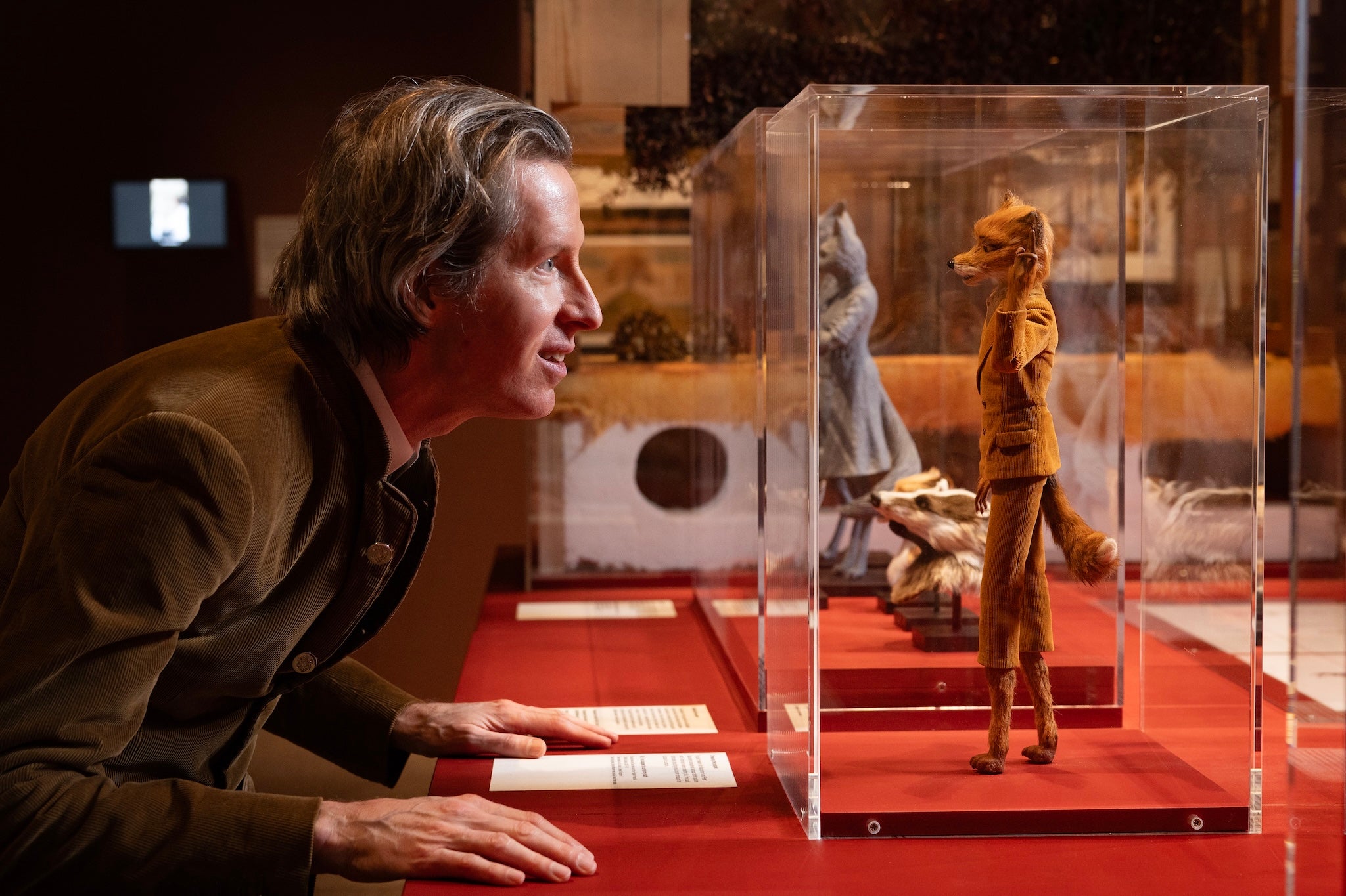 <p>Wes Anderson looks at his film’s Fantastic Mr Fox puppet, on show at the Design Museum exhibition</p>