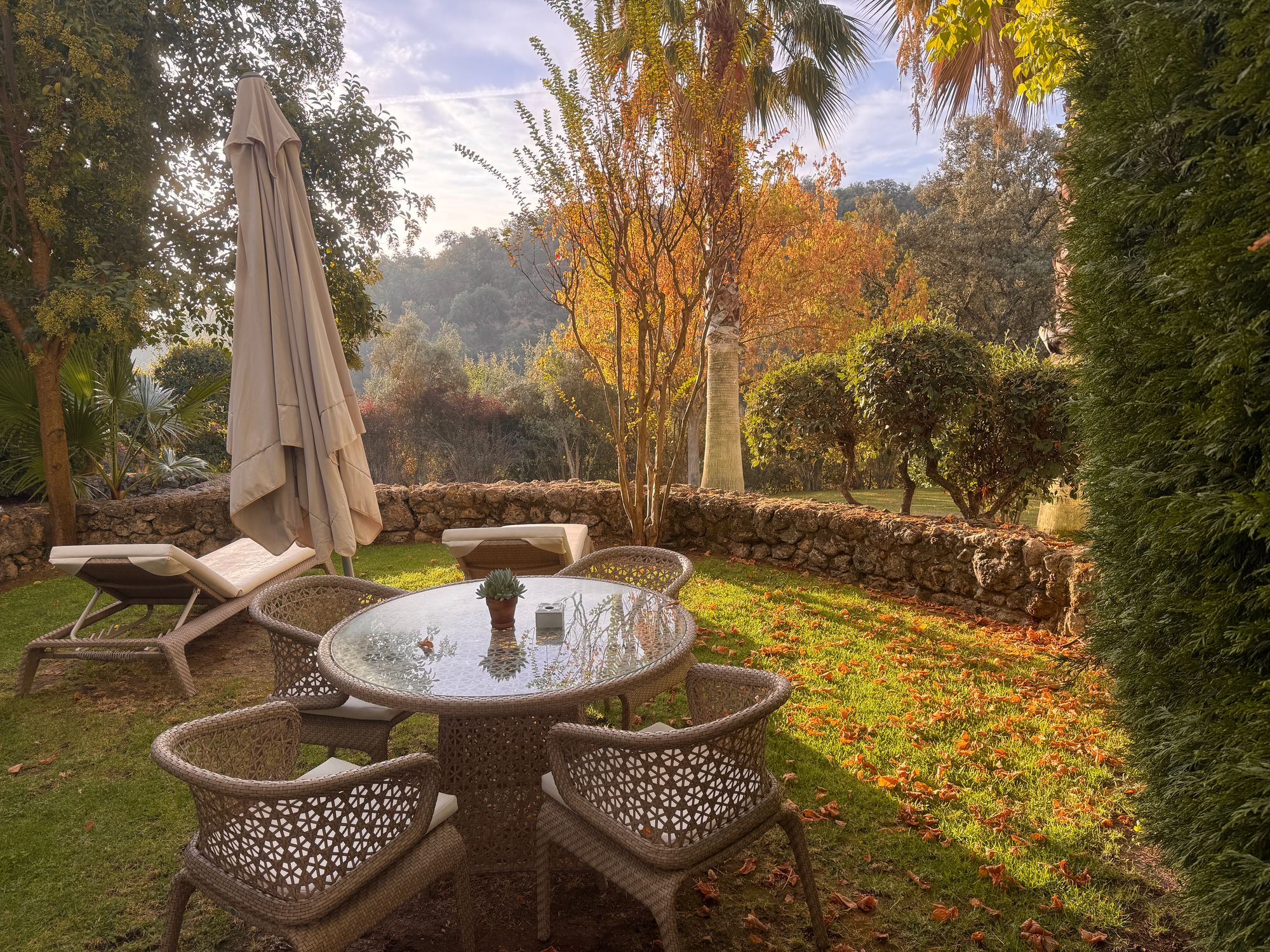 Enjoying autumn leaves and sunshine at Finca la Bobadilla