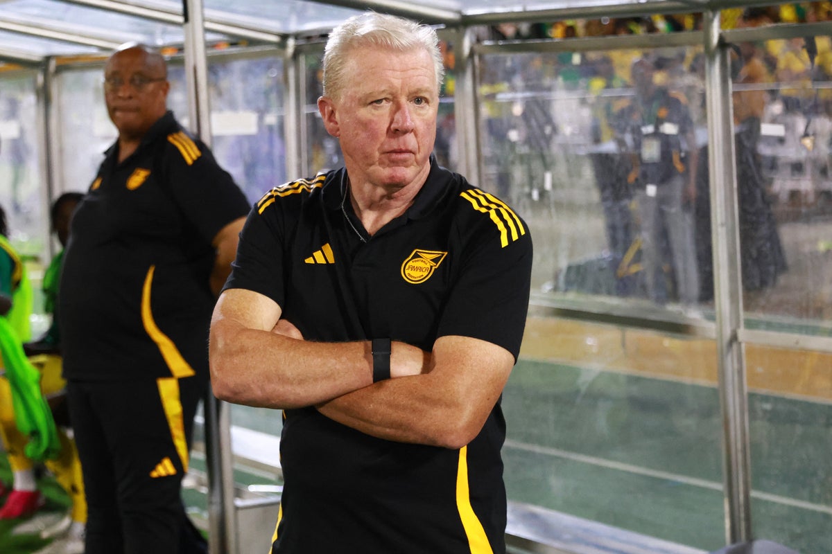 Ex-England boss Steve McClaren resigns from national team role after World Cup heartbreak