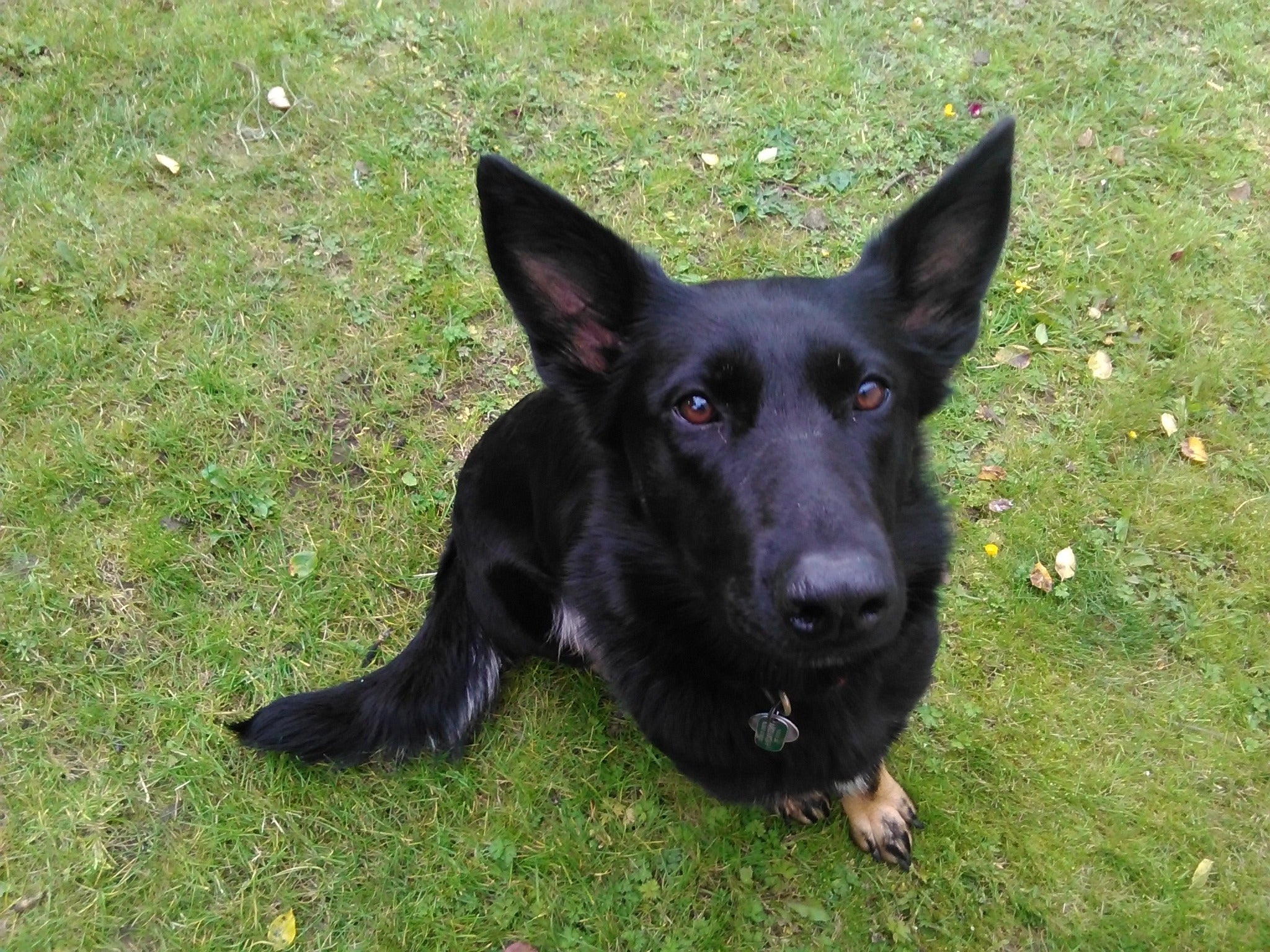 Molly still needs a lot of medical treatment