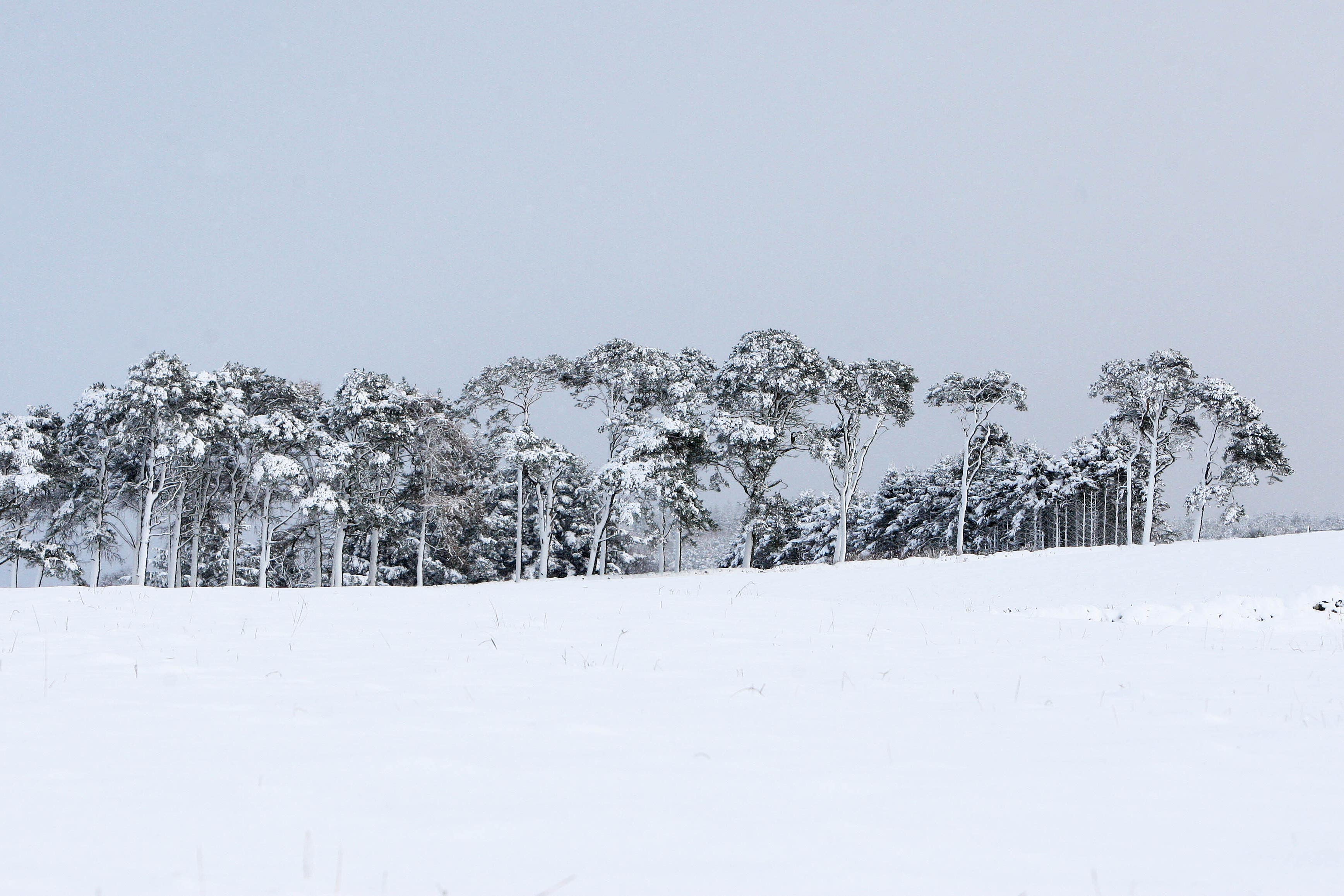 Snow-covered fields near Banchory, Scotland (Lynne Cameron/PA)