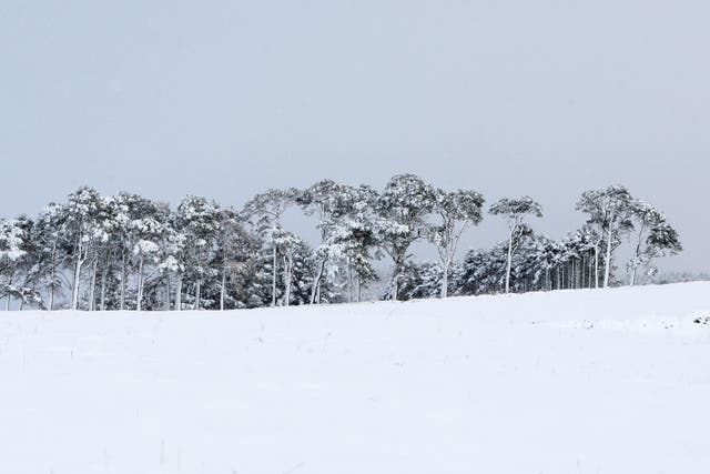 Snow-covered fields near Banchory, Scotland (Lynne Cameron/PA)
