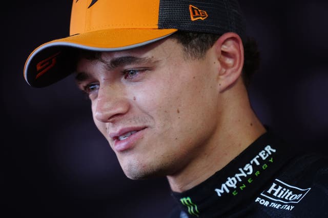McLaren driver Lando Norris is bidding to win his first world championship (David Davies/PA)