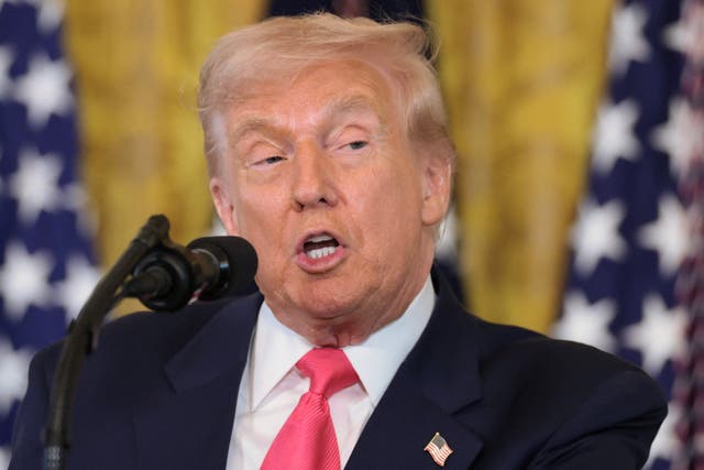 <p>Donald Trump announced he signed the bill to release the Epstein Files</p>