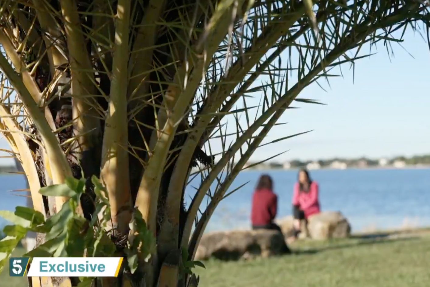 Anonymous Epstein Survivor speaks for the first time claiming Trump ‘must have known’ about victims thumbnail