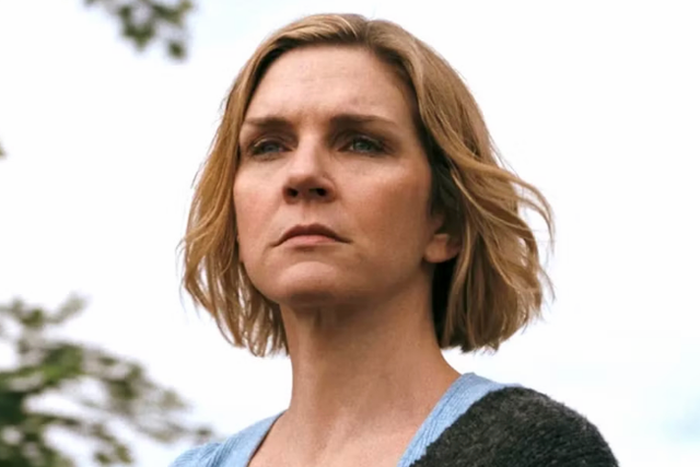 <p>Rhea Seehorn interpreta a Carol Sturka en ‘Pluribus’, la propuesta más original de Vince Gilligan</p>