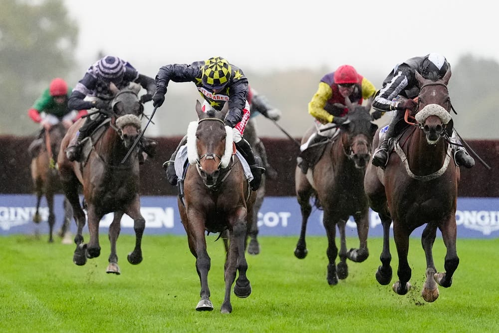 Ascoit Races Ascot Tips Friday | Best Bets for Ascot & Catterick Racing | The ...
