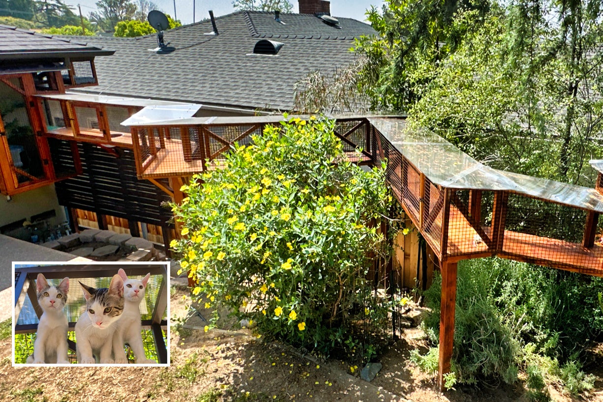 ‘The Catio Guy’ Alan Breslauer built an wooden outdoor enclosure for cat in Los Angeles with a long path that connect to the pet’s family home