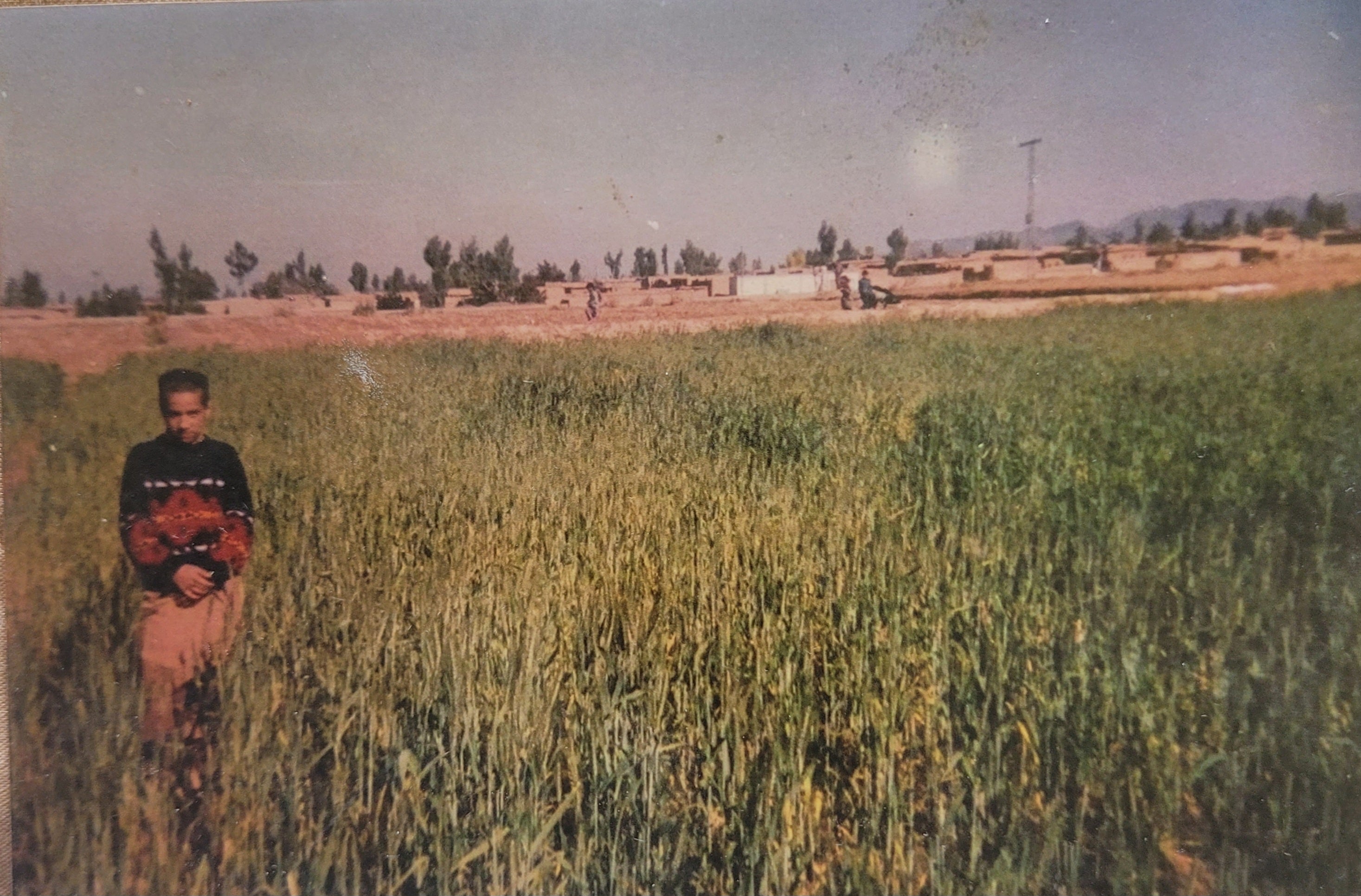 Maiwand Banayee aged 12