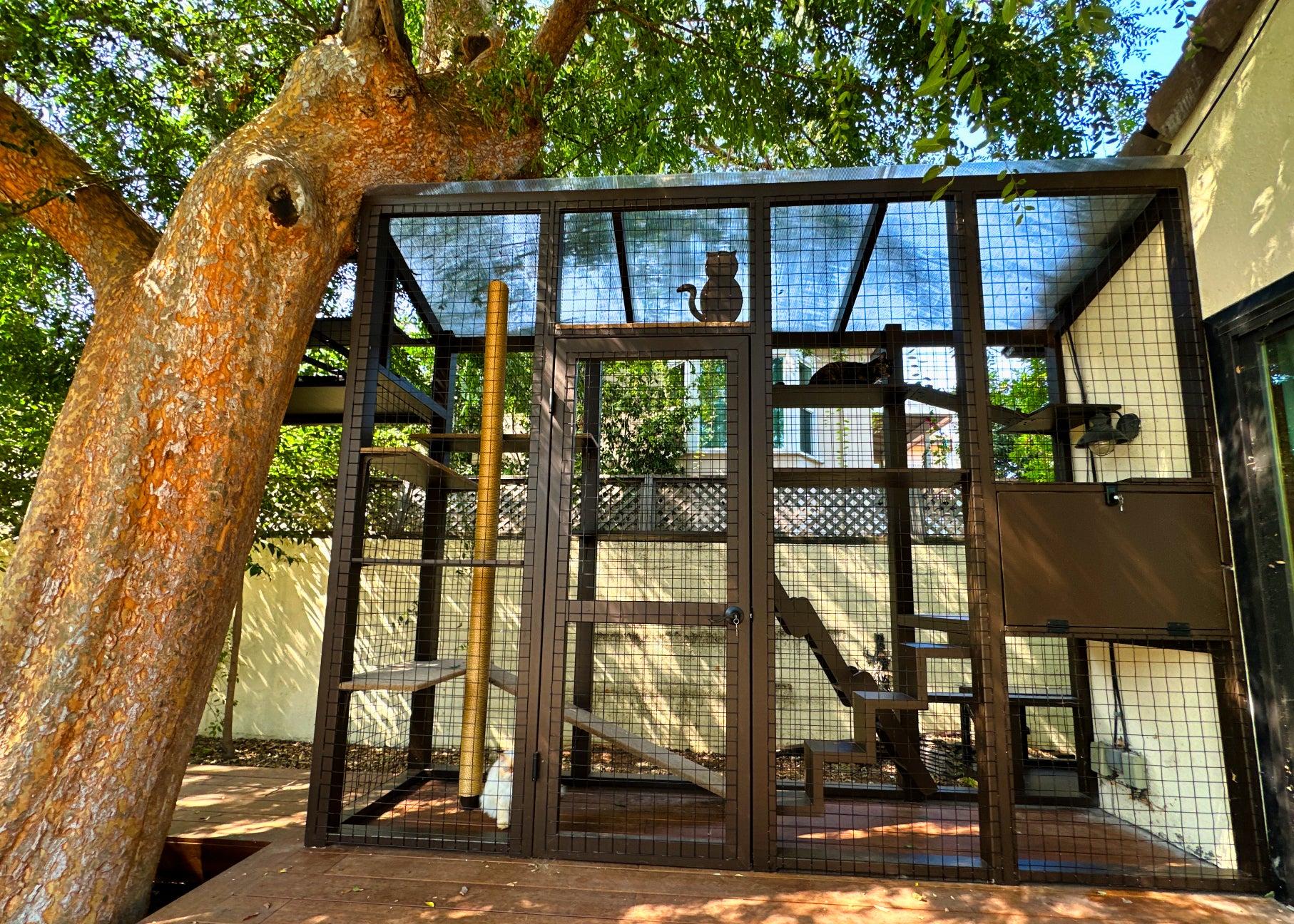 A metal, rectangular catio in Pasadena, California, that is fenced and features stairs, shelves, and scratching posts for cats to climb on