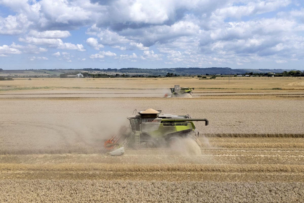 Why supermarkets are putting key industry at financial risk'