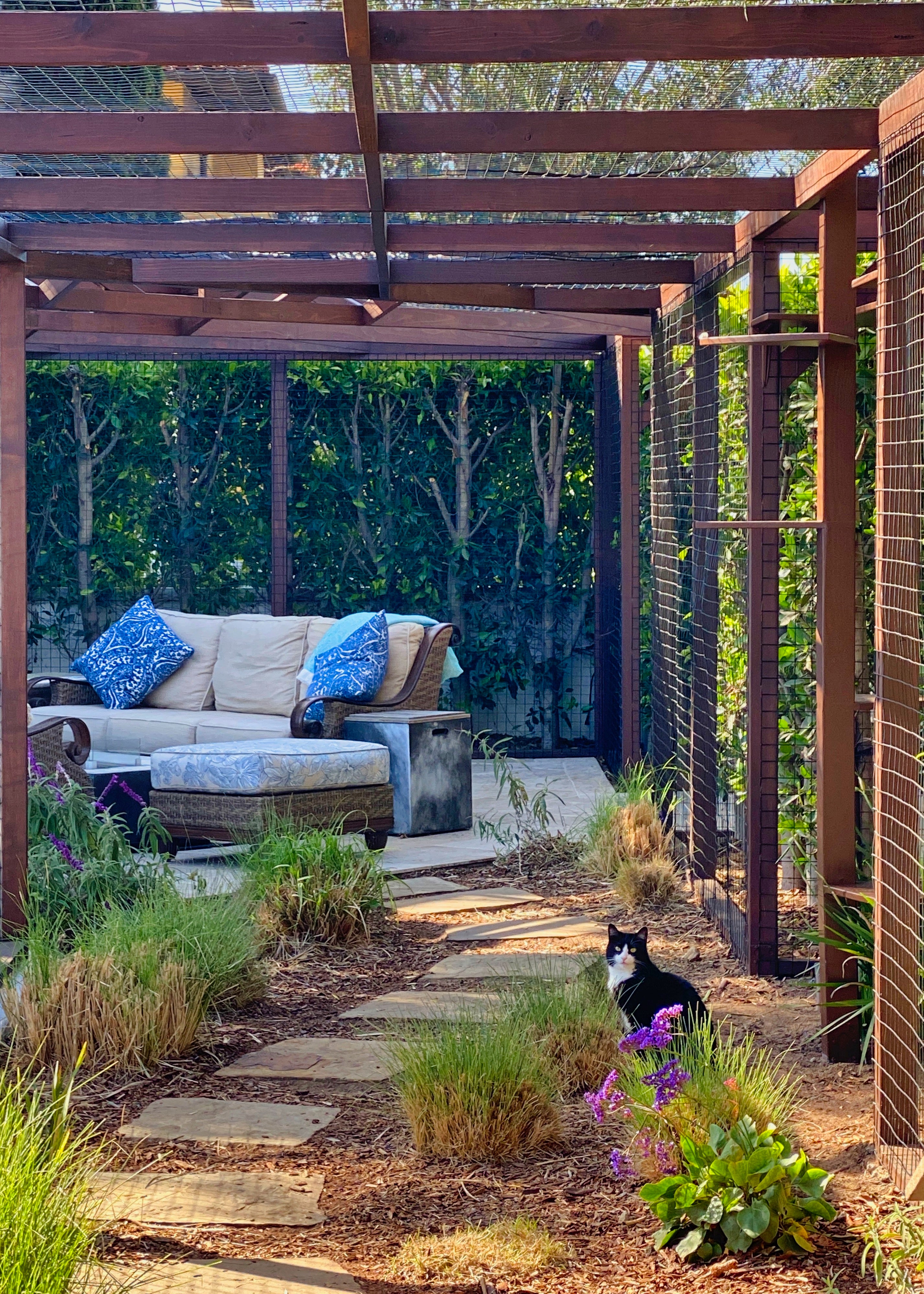 A wooden outdoor cat enclosure, with furniture, connected to the yard of a home in the South Bay region of California
