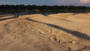 Brazil Turtles Released