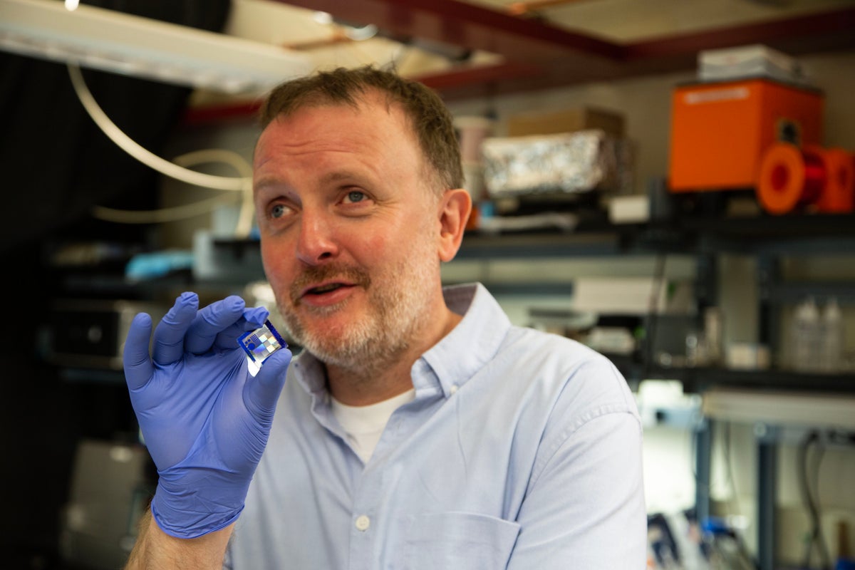Image for Chris McCausland’s blindness documentary challenges even the most ardent AI sceptics