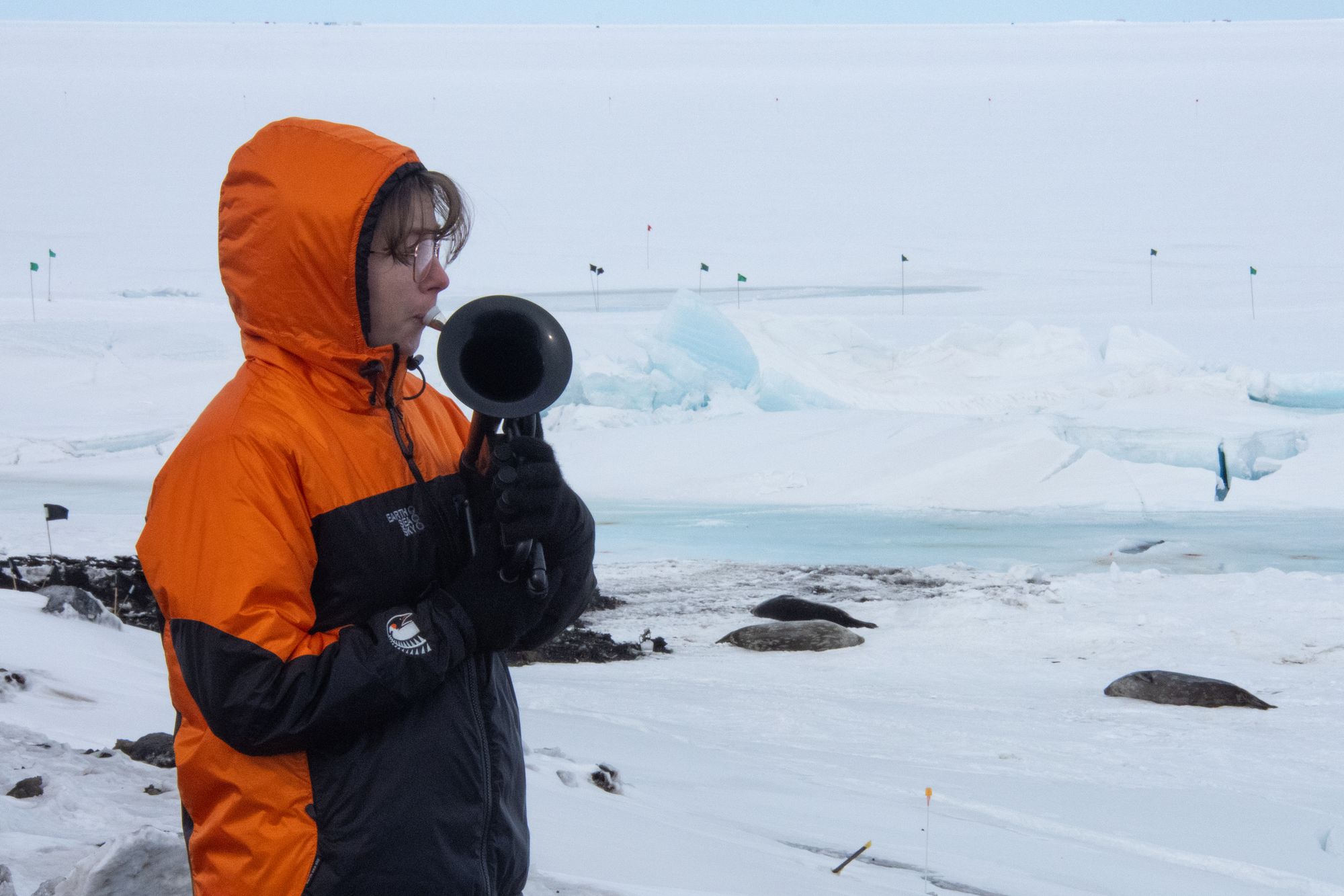 Ms Paine has been stationed in Antarctica since October