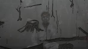 Pictures of the Week Latin America and Caribbean Photo Gallery