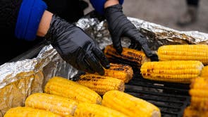 Federal Enforcement Immigrant Fears