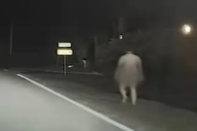 <p>Anthony Day, 41, allegedly told officials earlier this month that he was walking down the road naked because he was taking part in a TikTok challenge </p>