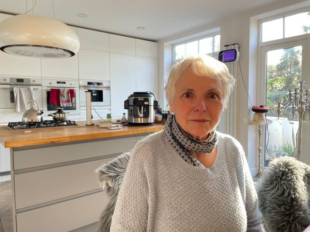 <p>Feli Freeman says her life has been heavily impacted by the building of the HS2 line near her home in Water Orton</p>