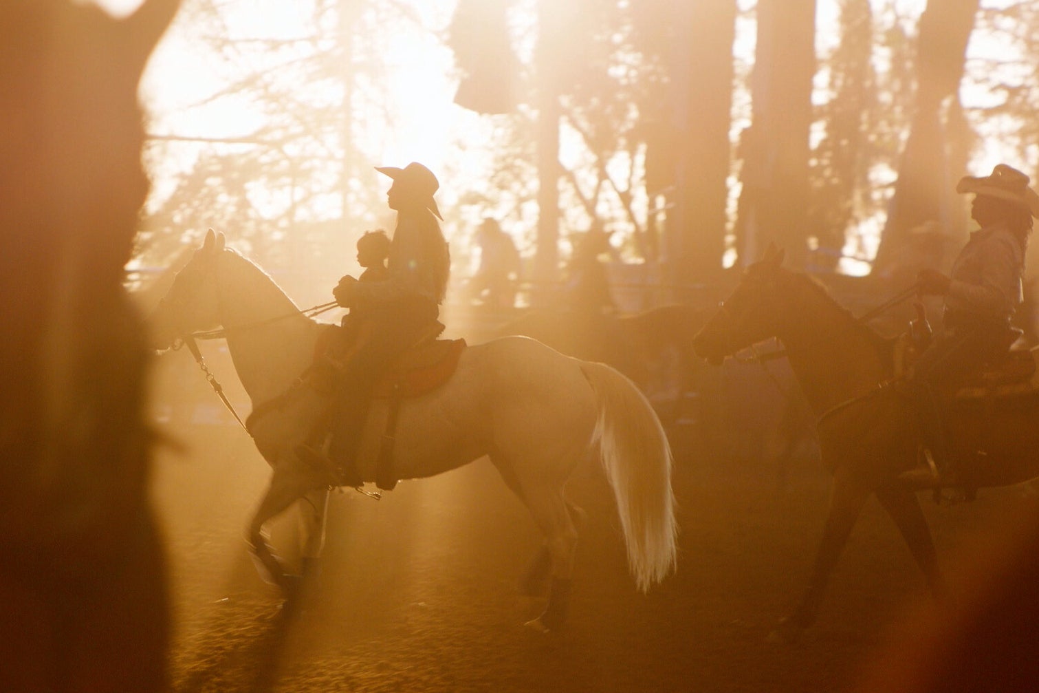 TV - High Horse: The Black Cowboy