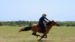 TV - High Horse: The Black Cowboy