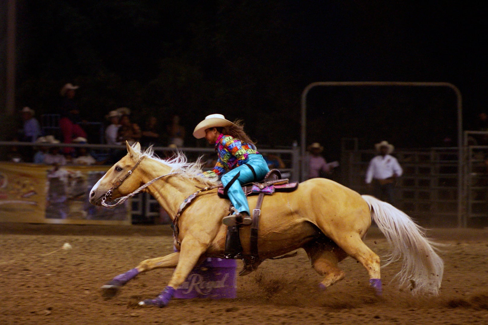 TV - High Horse: The Black Cowboy