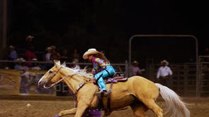 TV - High Horse: The Black Cowboy