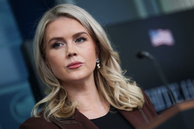 <p>Una mujer que comparte un hijo con el hermano de la secretaria de Prensa de la Casa Blanca, Karoline Leavitt, fue detenida por agentes de ICE y está en proceso de ser deportada</p>