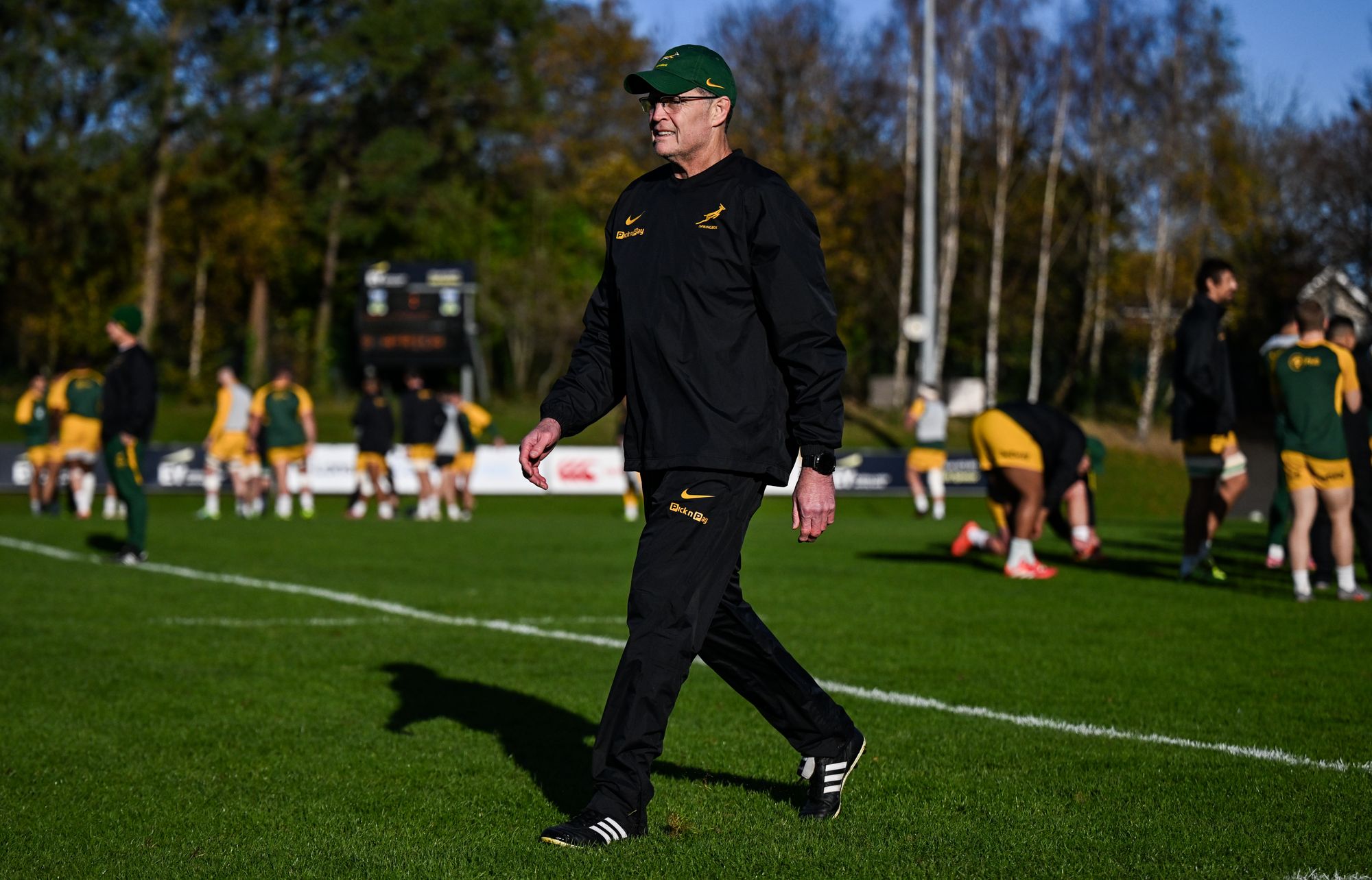 Rassie Erasmus ainda não venceu em Dublin como treinador