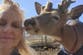 Ohio grandmother mauled to death by deer she helped rescue