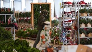 Christmas Tree Auction