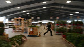 Christmas Tree Auction