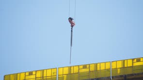 Israel Crane Rescue