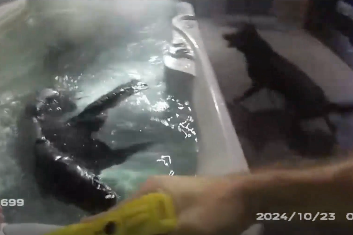 Car thieves caught hiding in hot tub after vehicle theft crime spree across Yorkshire