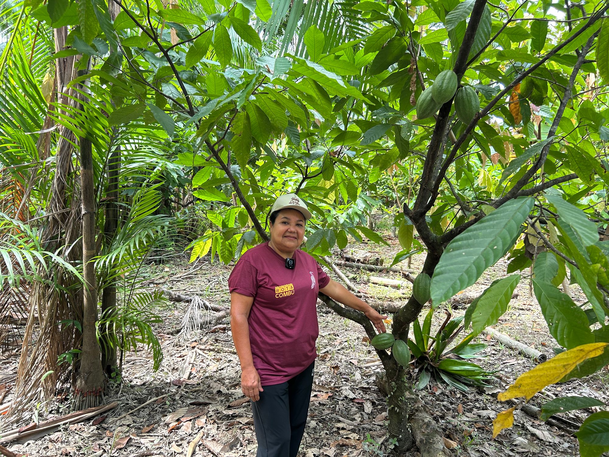 independent.co.uk - Nick Ferris - 'Deeply disappointing': Cop30 slammed for ignoring climate's impact on food supply